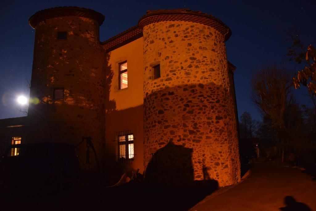 Chateau Des Aiguilles Saint-Rémy-de-Chargnat Dış mekan fotoğraf