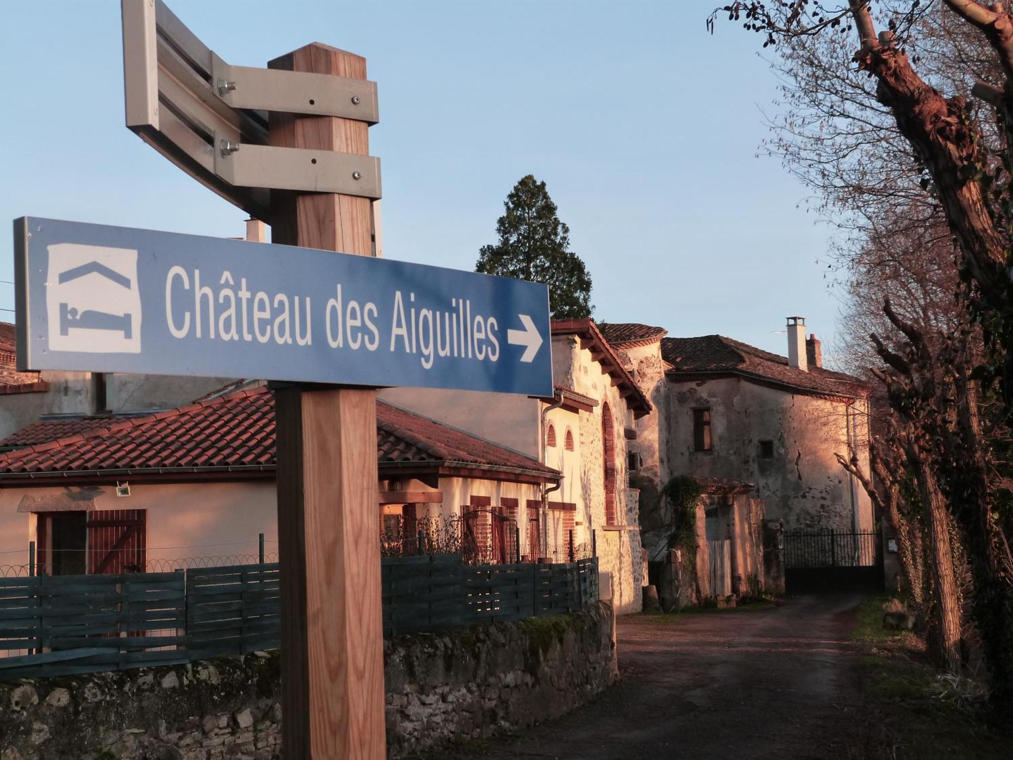 Chateau Des Aiguilles Saint-Rémy-de-Chargnat Dış mekan fotoğraf